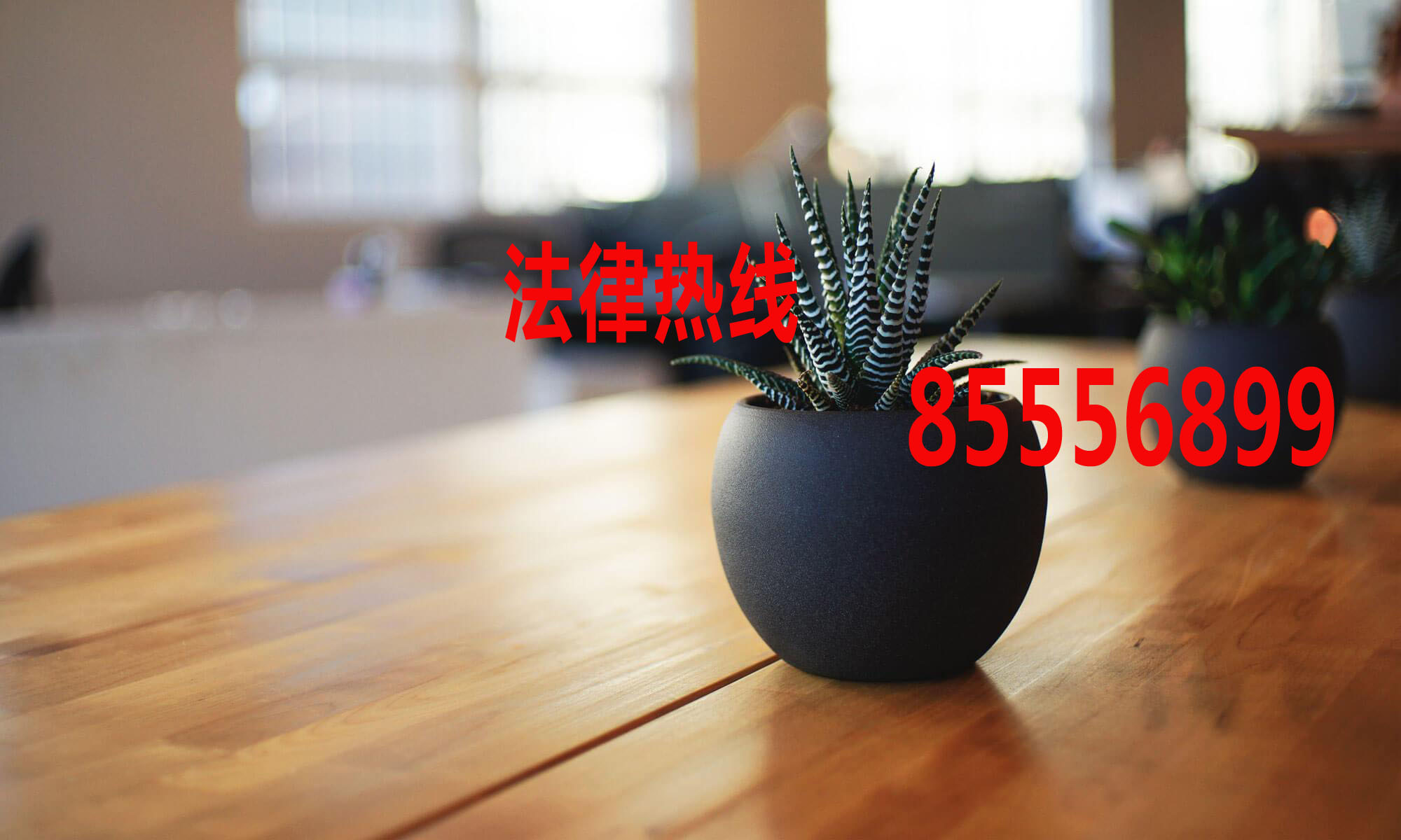 永嘉律师15356291688_温州市永嘉县律师